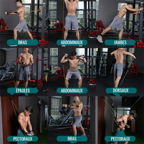 Différents exercices