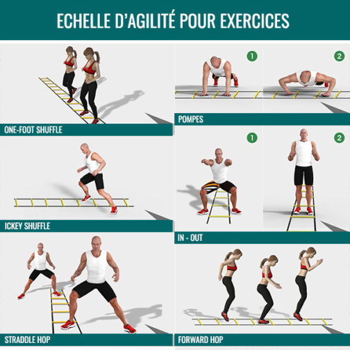 Exercices pour échelle d'entrainement