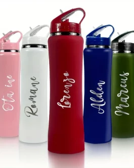 Bouteille personnalisable en inox APIS